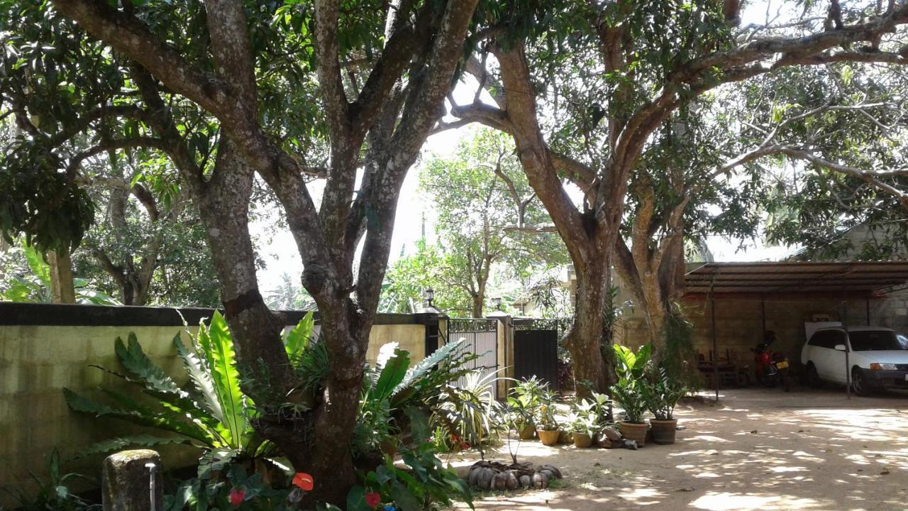Water Front Home Stay And Resort Anuradhapura Eksteriør bilde